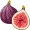 fig5