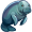 manatee5