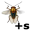 cicada5