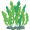algae5