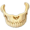 jawbone5