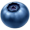 blueberry5