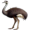 emu5