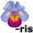 iris5