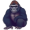 gorilla5