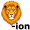 lion5