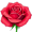 rose5