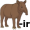 tapir5
