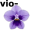 violet5