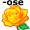 rose5
