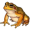 toad5