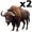 buffalo5