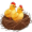 nestlings5