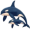 orcas5