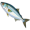 sardine2