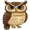 owl5