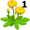 dandelions5