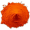paprika5