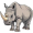 rhino5