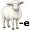 ewe2