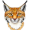 lynx2