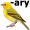 canary2