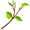 twig2