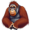 orangutan2
