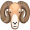 ram2