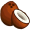 coconut2