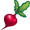 beet5