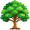 oak5