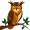owl2