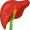 liver5