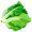 endive5