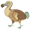 dodo5