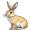 hare5
