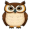 owl5