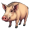 hog5