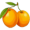 oranges5