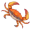 crab5