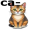 cat5