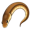 eel5