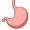 stomach5