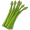 asparagus5