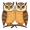 owls5
