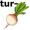 turnip5