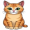cat5