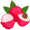 lychees5