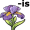 iris5
